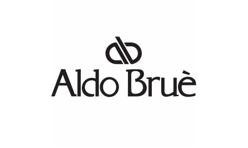 Aldo Brue Leather Shoes