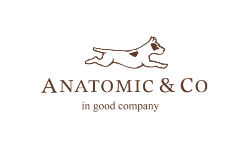 Anatomic & Co Comfort Shoes